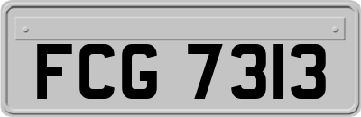 FCG7313