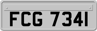 FCG7341