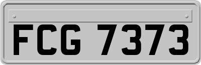 FCG7373
