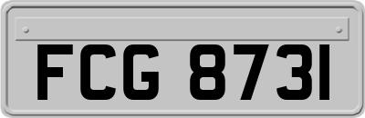 FCG8731