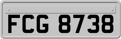 FCG8738