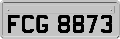 FCG8873