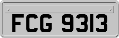 FCG9313
