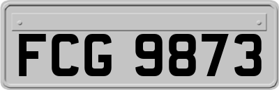 FCG9873