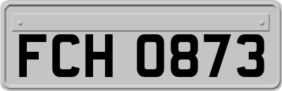 FCH0873