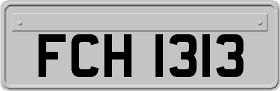 FCH1313