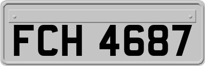 FCH4687