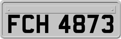 FCH4873