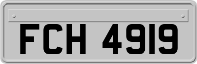FCH4919