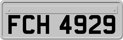 FCH4929