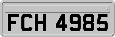 FCH4985