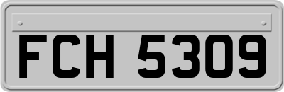 FCH5309