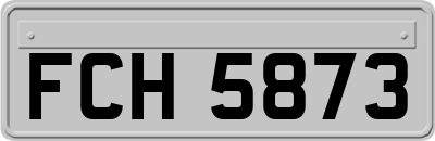 FCH5873