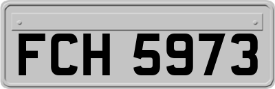 FCH5973