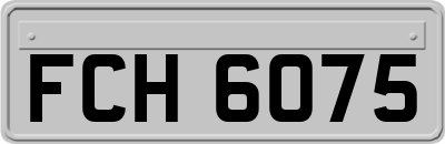 FCH6075
