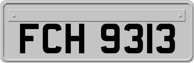 FCH9313