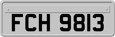 FCH9813