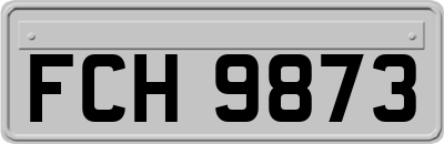 FCH9873
