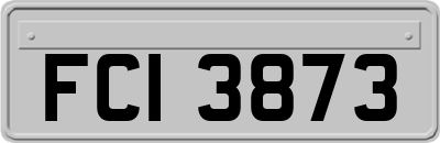 FCI3873
