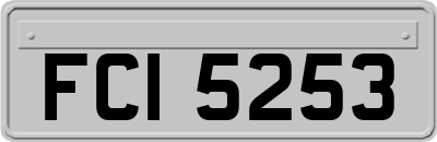 FCI5253