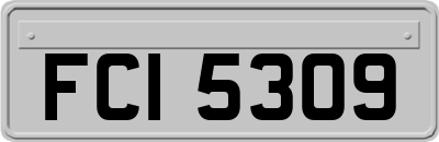 FCI5309