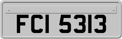 FCI5313