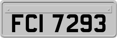 FCI7293