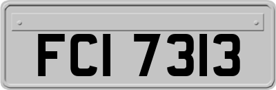 FCI7313