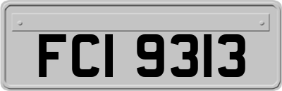 FCI9313