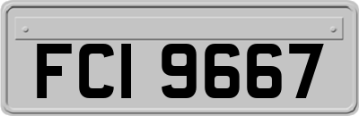 FCI9667