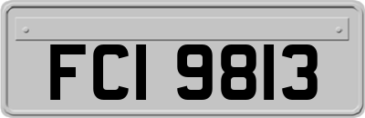 FCI9813