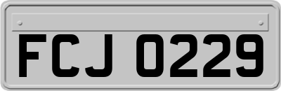 FCJ0229