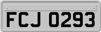 FCJ0293
