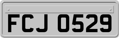 FCJ0529