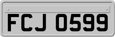 FCJ0599