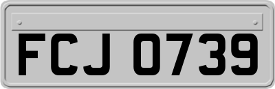 FCJ0739