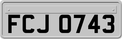 FCJ0743