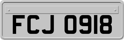 FCJ0918