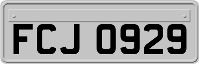 FCJ0929