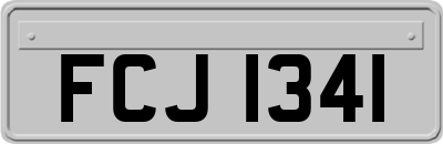 FCJ1341