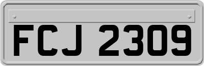 FCJ2309