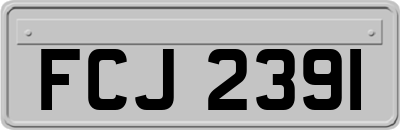 FCJ2391