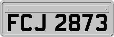FCJ2873