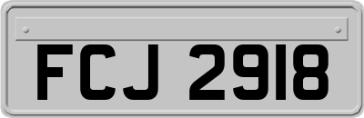 FCJ2918