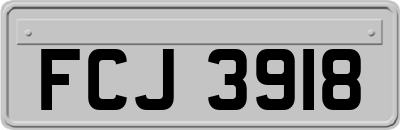 FCJ3918