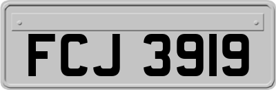 FCJ3919