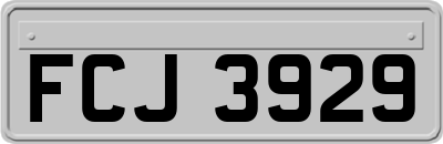 FCJ3929