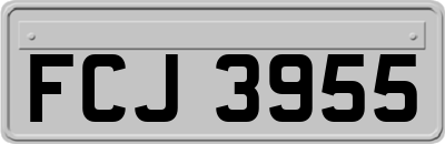 FCJ3955