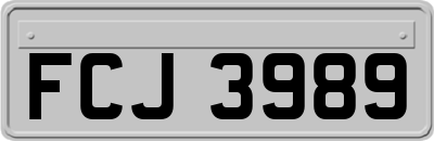 FCJ3989