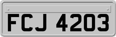 FCJ4203
